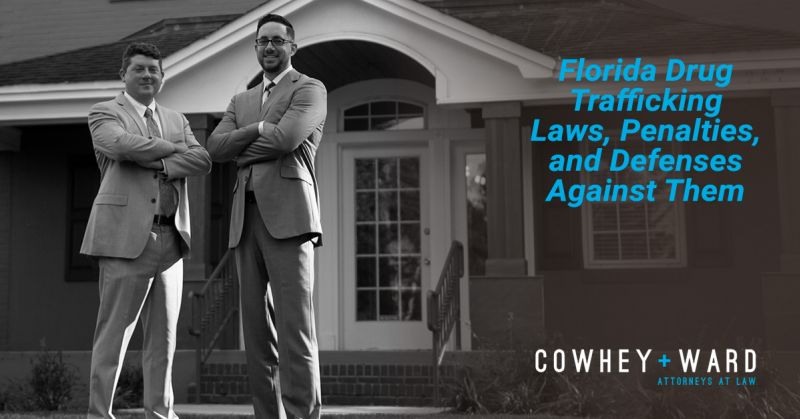 drug trafficking laws, penalties, and defenses against them